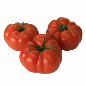 Tomate Rebelión