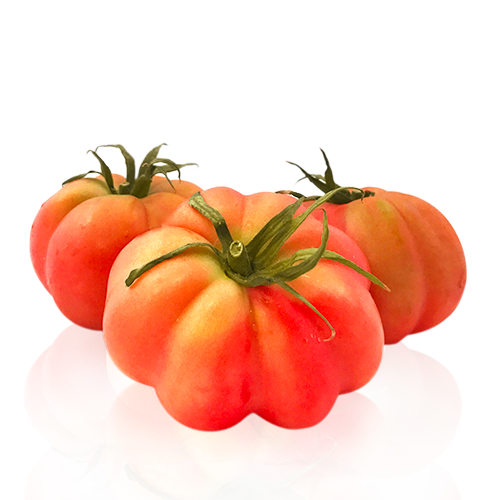Tomate Monte Rosa
