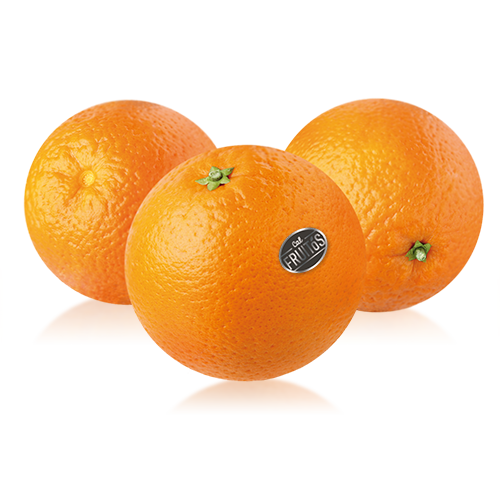 Naranja Extra  Cal Fruitós