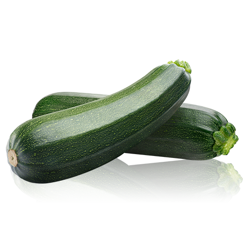 Calabacín Bio