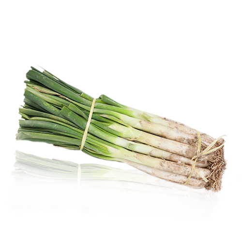 Calçots Manojo 25 unidades