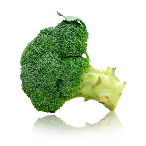 Bròcoli Envasat