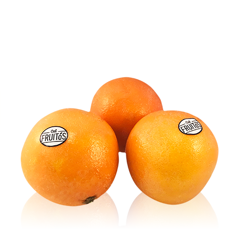 Taronja Promoció Cal Fruitós Nova Collita