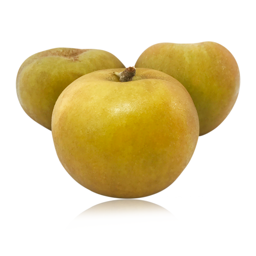 Poma Reineta