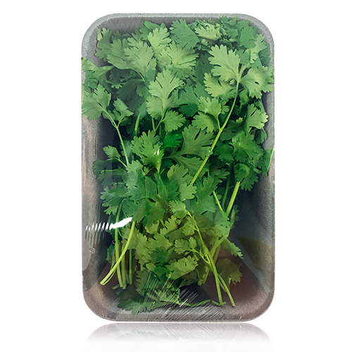 Coriandre Safata 40gr