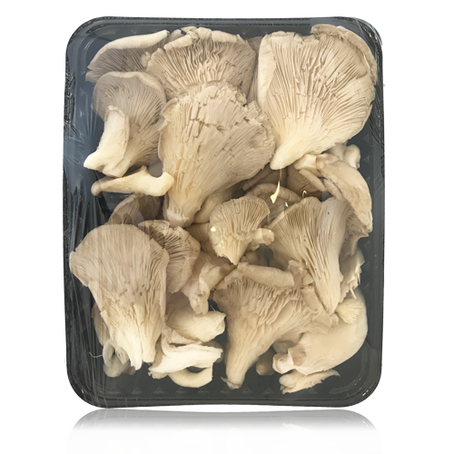 Girgoles Sencera Safata 250gr