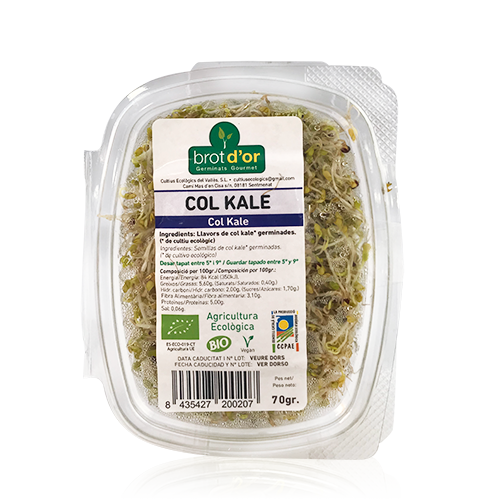 Germinat Bio de Col Kale Cal Fruitós