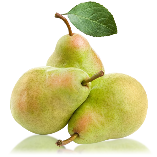 Pera Ercolina