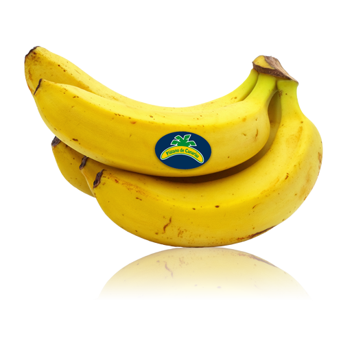 Plàtan Canari Extra