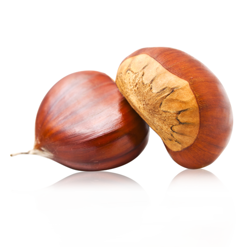 Castanya Gallega Extra